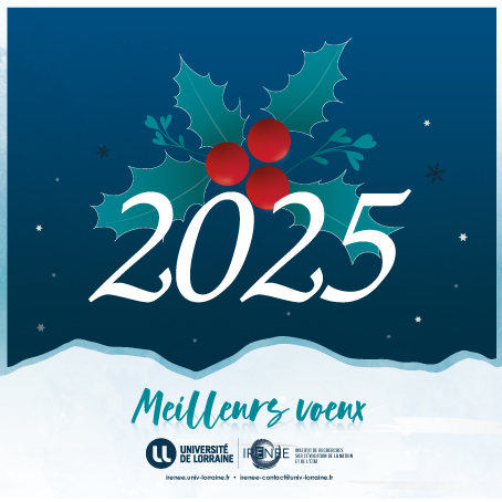 meilleurs voeux 2025